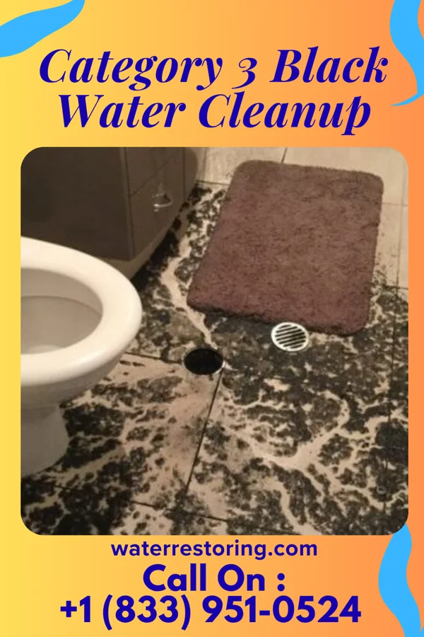 Category 3 Black Water Cleanup in North Lauderdale, FL