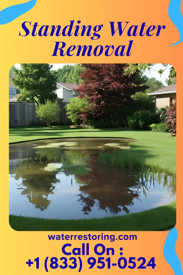 Standing Water Removal in North Lauderdale, FL